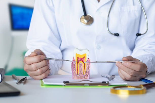 Best Emergency Dentist for Knocked-Out Tooth in Bayshore, NC